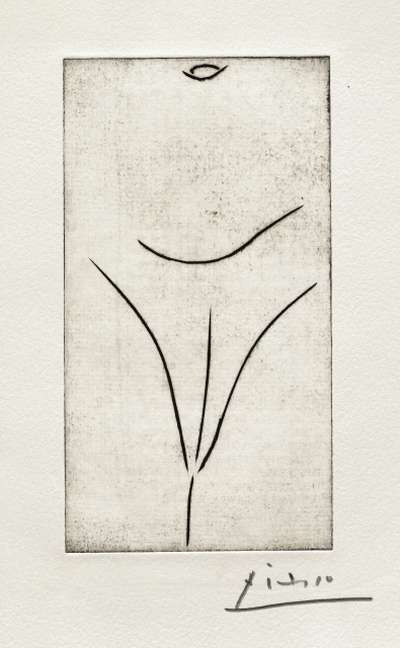 Pablo Picasso, PAB, Les livres de Picasso réalisés par PAB. 1966